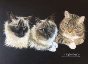 Commission your portrait in 3 simple steps